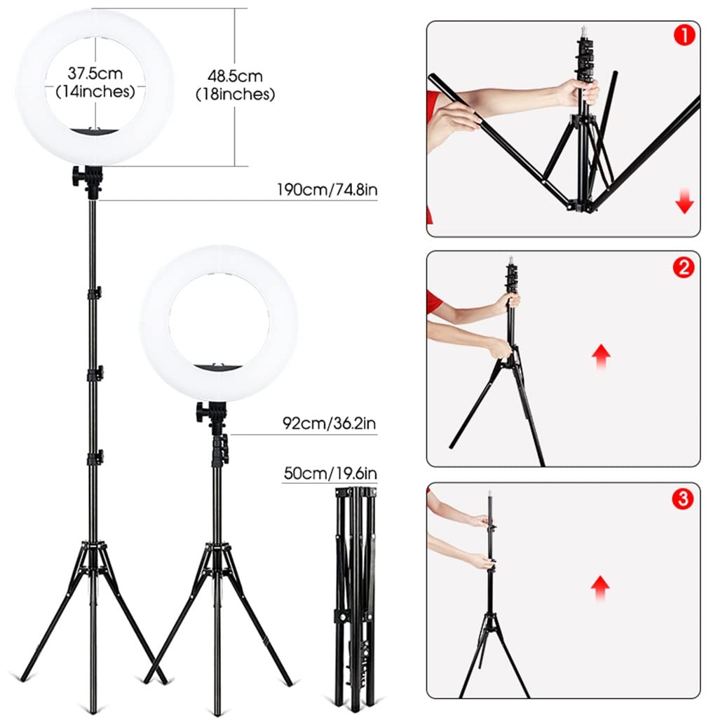 14" LED Ring Light with Tripod & Phone Holder